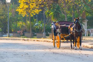 Carriage ride in Sevilla on a cooking vacation in Spain