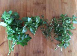 Fresh herbs from the garden during an Italy culinary vacation.