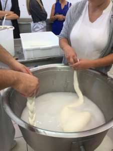 Making fresh mozzarella in Puglia, Italy.