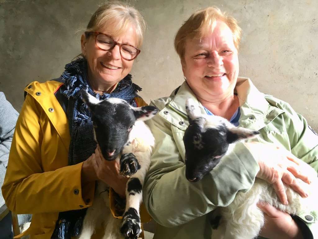 Seeing the baby lambs in the springtime during a cooking vacation in Scotland.