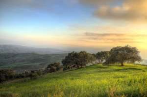 A view of the olive groves during our Spain food tours in Andalusia.