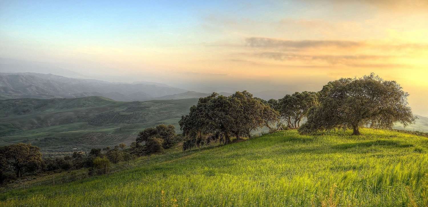 image for Flavors of Andalusia