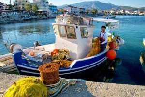 A fishman at work during your Greek cooking vacation.