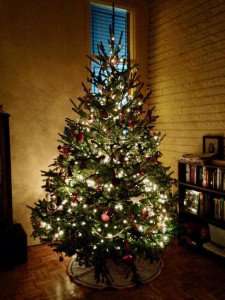 A traditional Christmas tree.