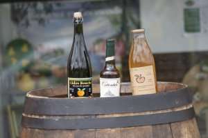 Apple cider and brandy made in Normandy, France.