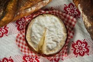 Luscious Camembert enjoyed on a French foodie tour with The International Kitchen.