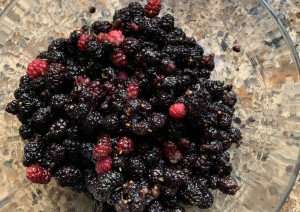 A bowl of mulberries ready for a cooking class.