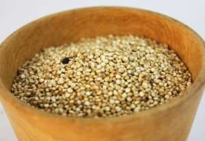 Amaranth, a grain indigenous to the Americas.
