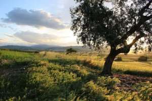 The farm in Molise, home during your farm to table culinary vacation with The International Kitchen.