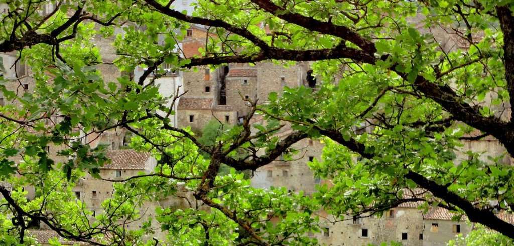Image for Why Molise “Doesn’t Exist” and Other Fun Facts about Our Authentic Italy Culinary Tour