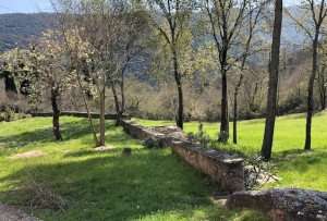 The countryside near Spoleto, Umbria.