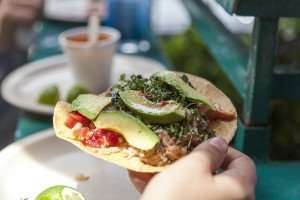 Delicious ceviche tostada during a Mexico City food tour.