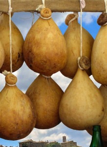 Traditional caciocavallo cheese.