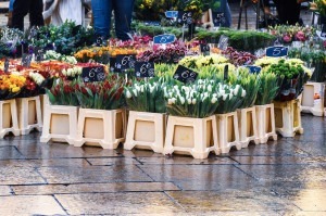 The flower market in Aix.