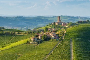 Beautiful hills and vineyards surrounding Barbaresco village in the Langhe region of Piedmont, Italy.