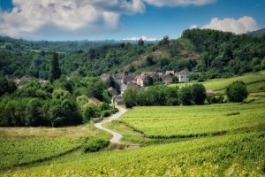 The countryside of Burgundy on a Burgundy wine tasting tour.