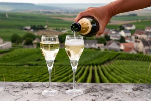 Tasting of brut and demi-sec white champagne sparkling wine in Champagne vineyards, France