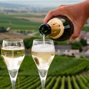Tasting of brut and demi-sec white champagne sparkling wine in Champagne vineyards, France