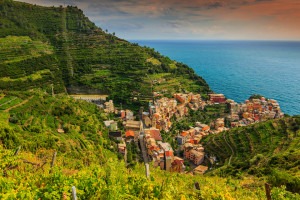 Beautiful vineyard surrounding the town of Manarola in the Cinque Terre.