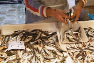 Selling fresh sardines at the market in Italy.