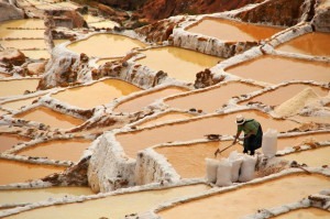The salinas in Peru.