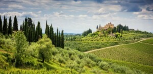 image for Chianti Wine Tour to the Finest of Tuscany's Vineyards