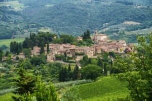 Vineyards of Chianti near Montefioralle