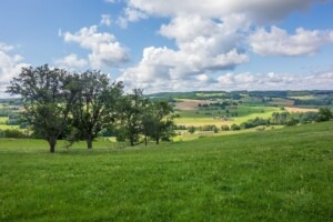The pays d'auge in the countryside of Normandy.
