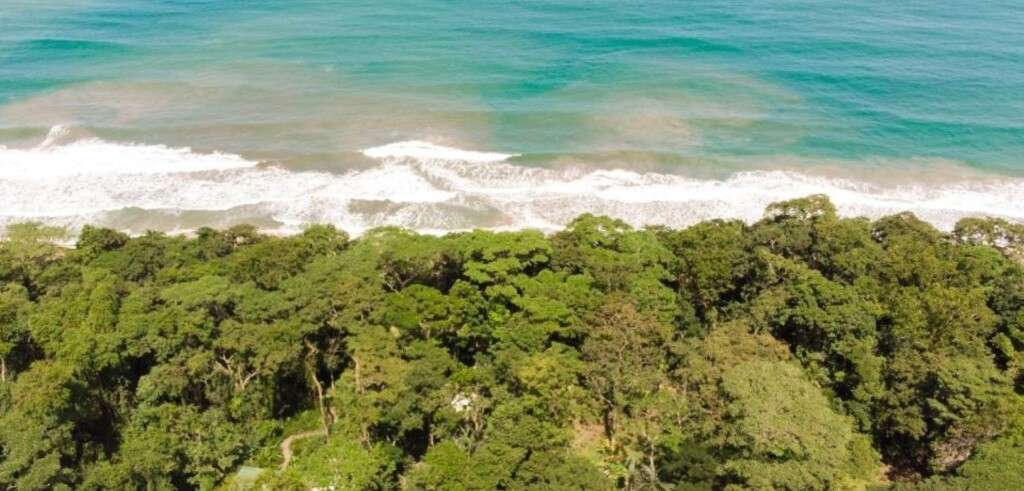 Image for 8 Reasons to Make Costa Rica your Next Culinary Destination
