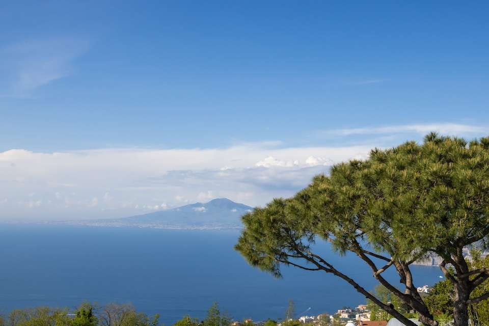 Image for A view of Vesuvius from the garden.