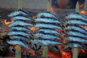 Grilled espeto sardines in Malaga.