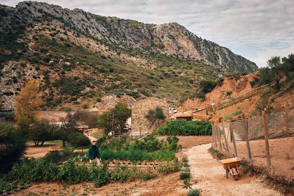 Image for The farm at Cueva del Gato.