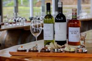 Products made at the only winery in Costa Rica.