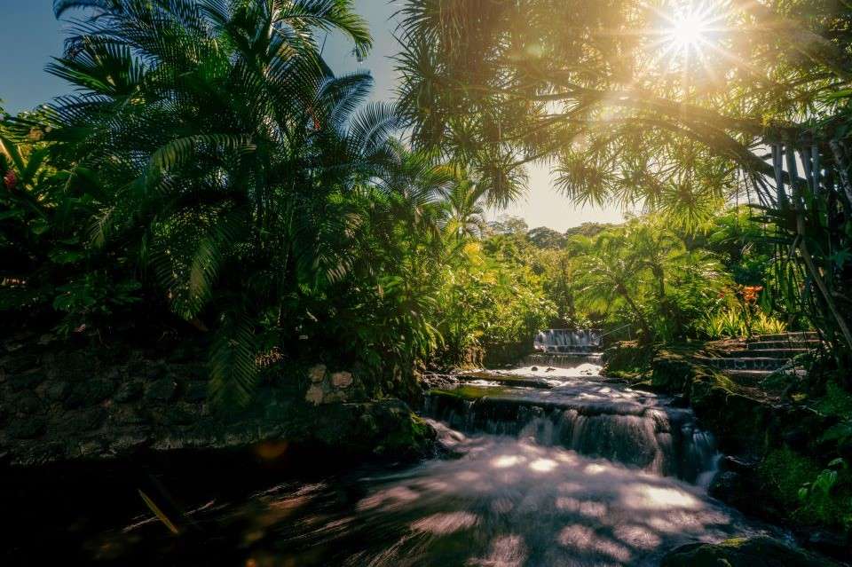 Image for Relaxing hot springs.