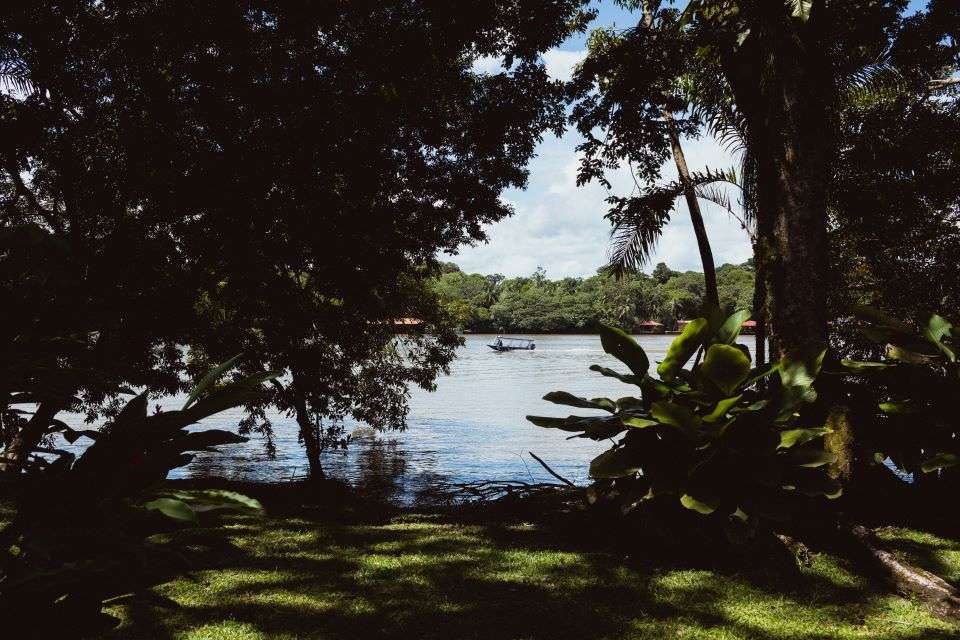 Image for You will have plenty of time to relax and enjoy nature during your stay at this luxury eco lodge in Costa Rica.