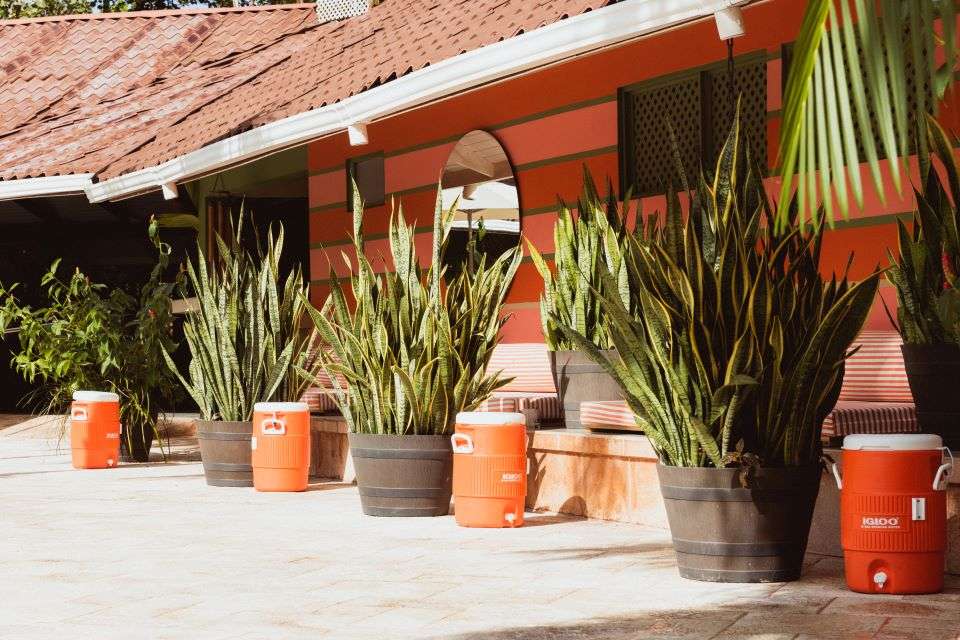 Image for Flora and fauna can be found at every corner of the eco lodge.