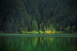 The natural beauty of the Azore is a highlight of your trip