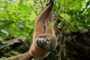 Some wildlife might even come up close!