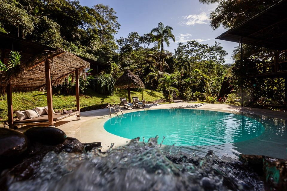 Image for Relax by the pool