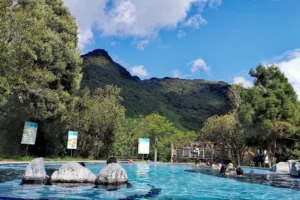The springs are fun for all members of the family