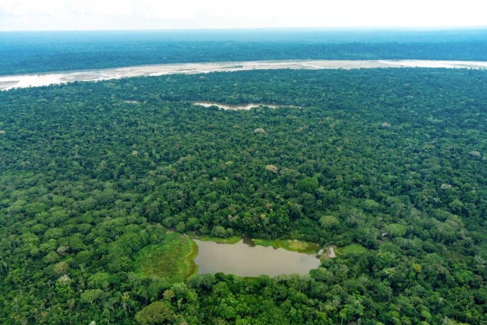 Image for Enjoy privacy in the remote jungle