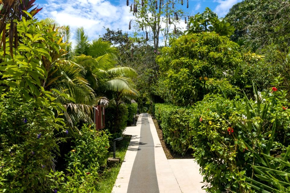 Image for Explore hotel grounds