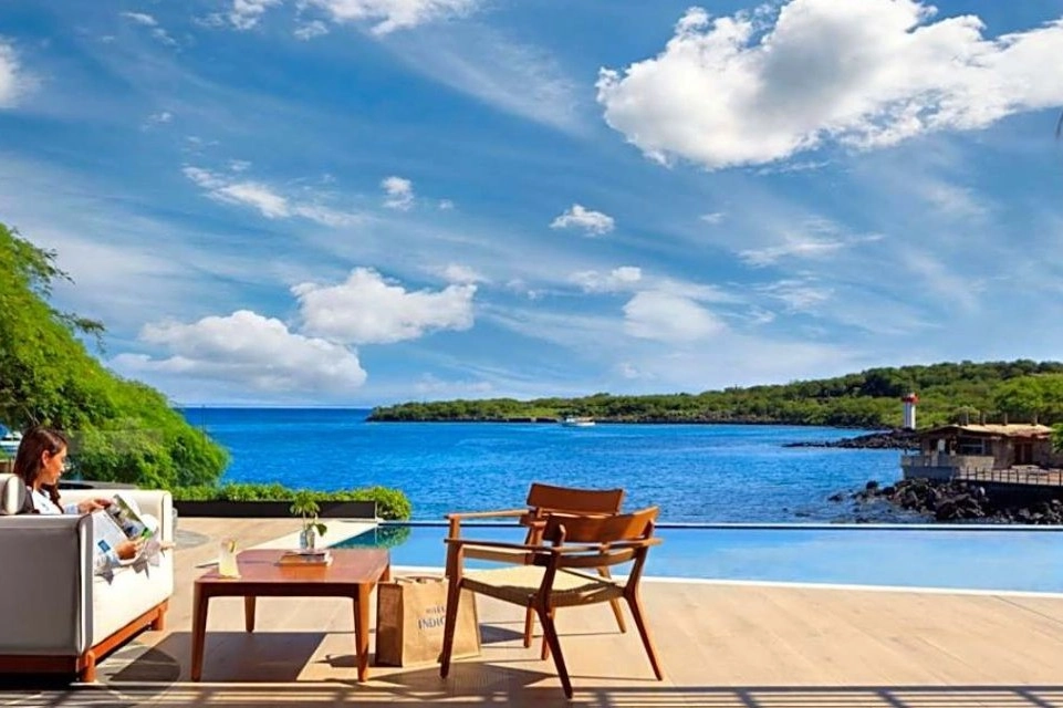 Image for Look out at the ocean
